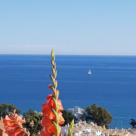 Garden Sea View Apartment Near Beach Sitio de Calahonda Exterior photo
