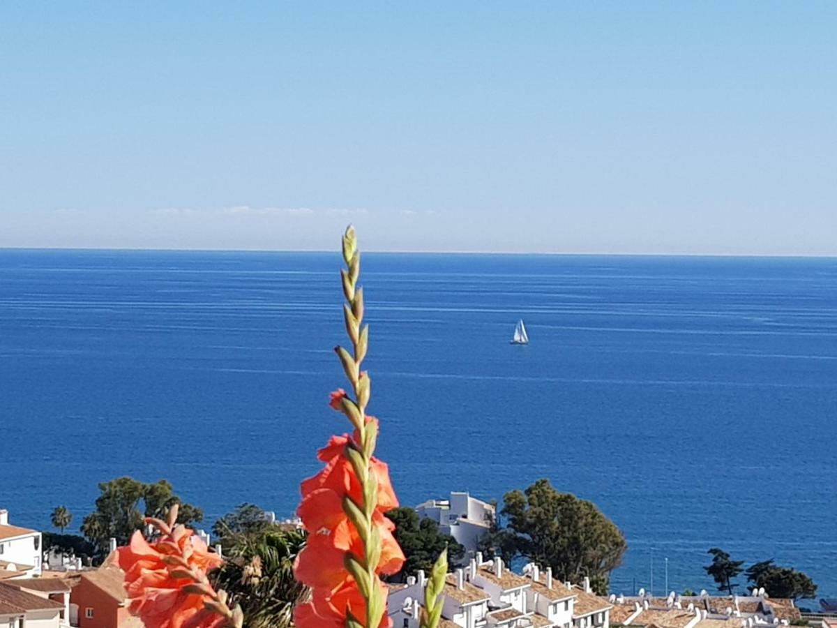 Garden Sea View Apartment Near Beach Sitio de Calahonda Exterior photo